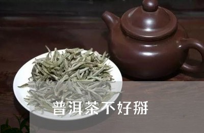 普洱茶不好掰/2023042664570