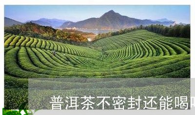 普洱茶不密封还能喝吗/2023062462738