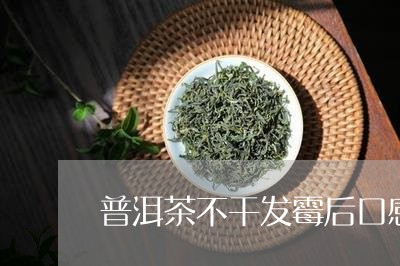 普洱茶不干发霉后口感/2023080179281