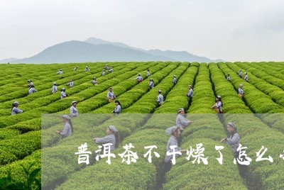 普洱茶不干燥了怎么办/2023092865170