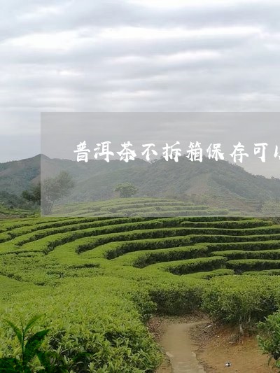 普洱茶不拆箱保存可以吗/2023050505250