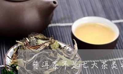 普洱茶不是七大茶类之一/2023112797060