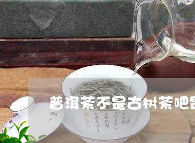 普洱茶不是古树茶吧是什么茶/2023052905168