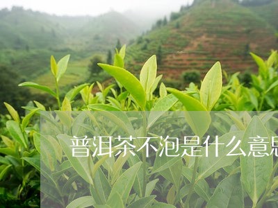 普洱茶不泡是什么意思/2023092946260