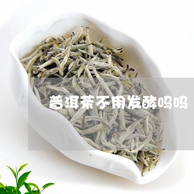 普洱茶不用发酵吗吗/2023091593724