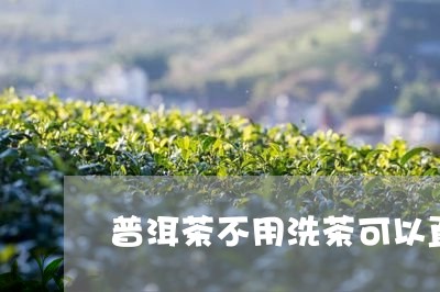 普洱茶不用洗茶可以直接喝吗女生/2023110607050