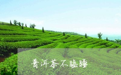 普洱茶不瞌睡/2023091303026