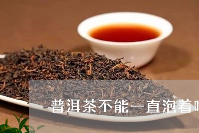 普洱茶不能一直泡着吗/2023072356261