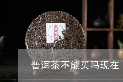 普洱茶不能买吗现在/2023120545060