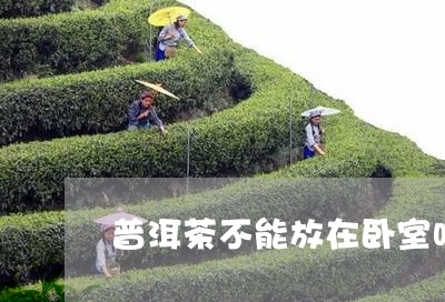 普洱茶不能放在卧室吗/2023100512706