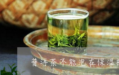 普洱茶不能泡在保温杯/2023092958368