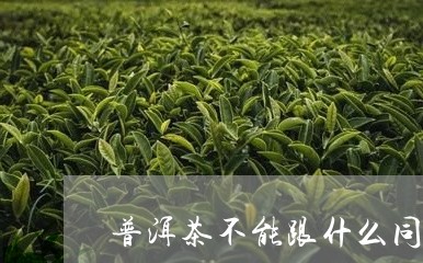 普洱茶不能跟什么同食/2023062092835