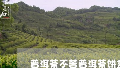 普洱茶不苦普洱茶饼盒/2023092546271