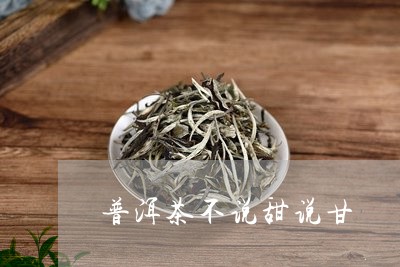 普洱茶不说甜说甘/2023112681525