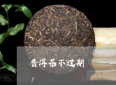 普洱茶不过期/2023042670636