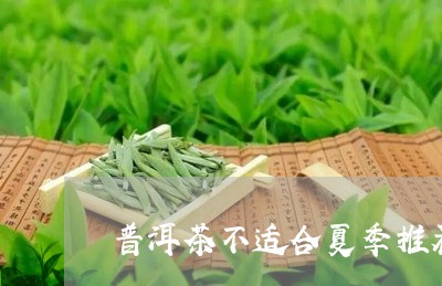 普洱茶不适合夏季推荐/2023062392827