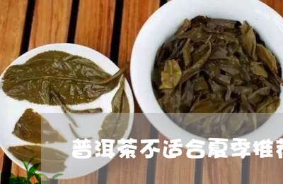 普洱茶不适合夏季推荐吗/2023050455258