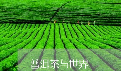 普洱茶与世界/2023042758793