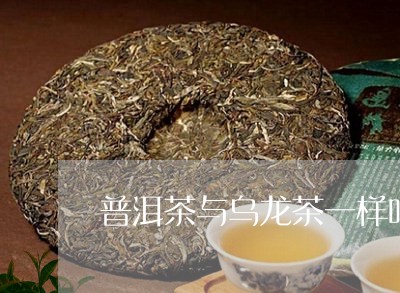 普洱茶与乌龙茶一样吗/2023061908380