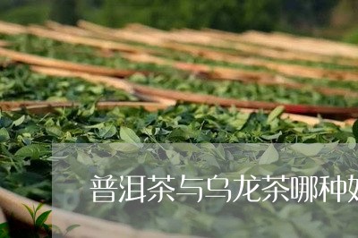 普洱茶与乌龙茶哪种好/2023062213139