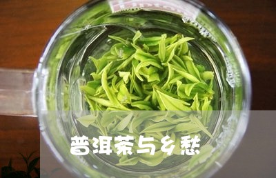 普洱茶与乡愁/2023042704327