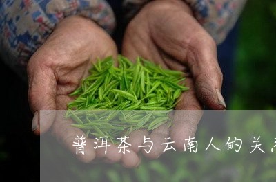 普洱茶与云南人的关系/2023072349495