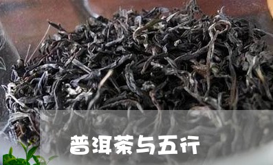 普洱茶与五行/2023090693037