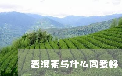 普洱茶与什么同煮好/2023091587380