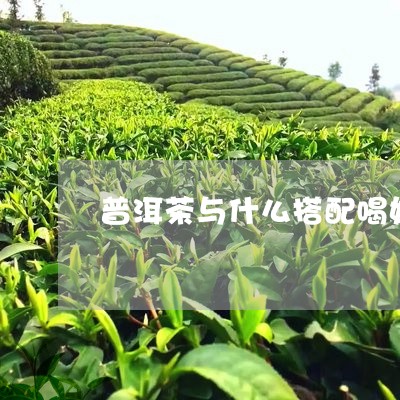 普洱茶与什么搭配喝好/2023080226369