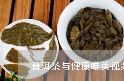 普洱茶与健康唯美视频/2023120682719