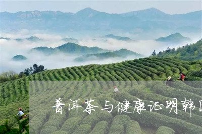 普洱茶与健康证明韩国/2023062305846