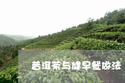 普洱茶与健早餐做法/2023100879303