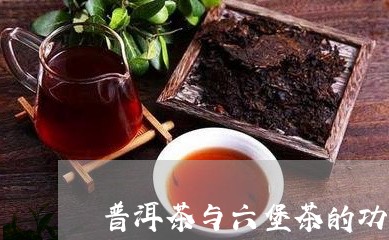 普洱茶与六堡茶的功效/2023062366068