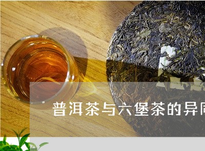 普洱茶与六堡茶的异同/2023062208461