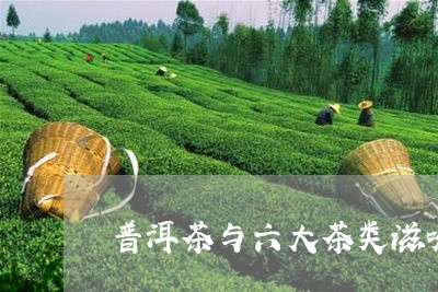 普洱茶与六大茶类滋味/2023062861838