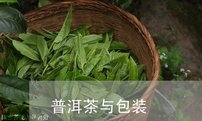 普洱茶与包装/2023042737549