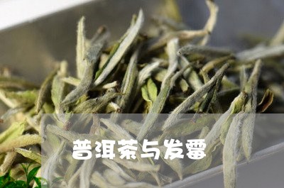 普洱茶与发霉/2023042883087