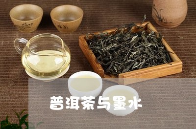 普洱茶与墨水/2023042688782