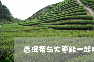 普洱茶与大枣能一起喝/2023092770605