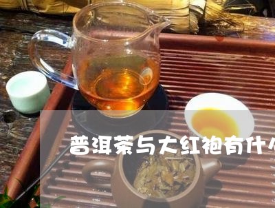 普洱茶与大红袍有什么区别/2023051094949