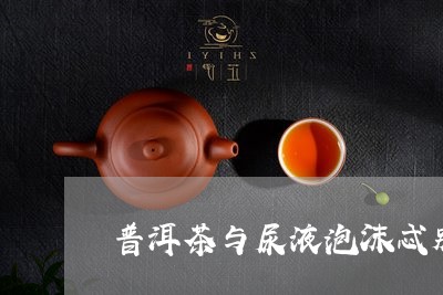 普洱茶与尿液泡沫忒别/2023092811695