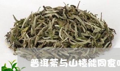 普洱茶与山楂能同食吗/2023062927271