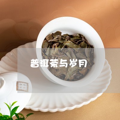 普洱茶与岁月/2023042721848