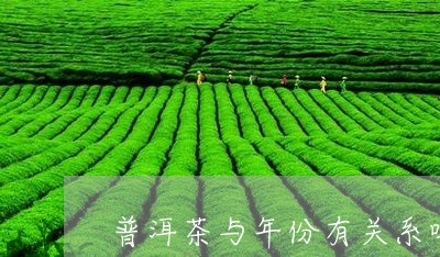 普洱茶与年份有关系吗/2023073197360