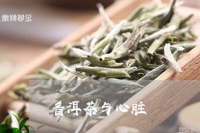 普洱茶与心脏/2023042775512