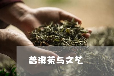 普洱茶与文艺/2023042712468