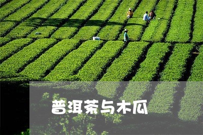 普洱茶与木瓜/2023042654960