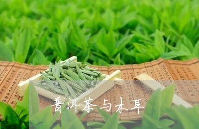 普洱茶与木耳/2023042616284