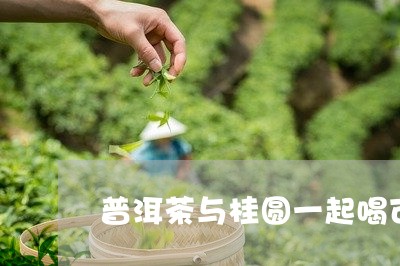 普洱茶与桂圆一起喝可以吗/2023051188371