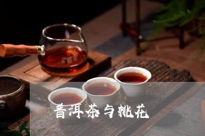 普洱茶与桃花/2023042899266